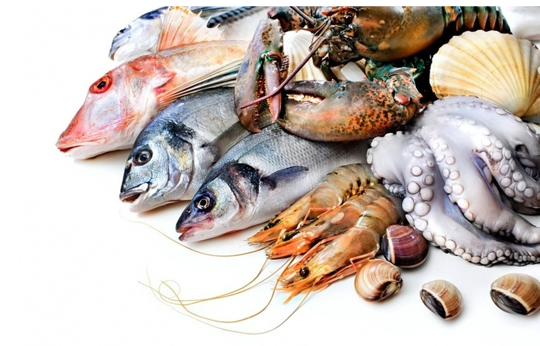 Quy định cấp phép nhập khẩu, xuất khẩu giống thủy sản